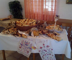 dom za bolesne odrasle osobe